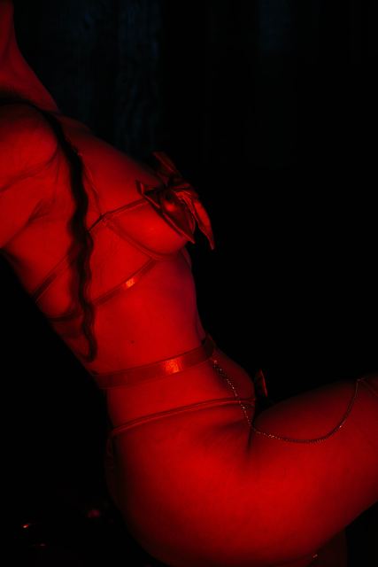 Photographie boudoir solo, photo 44